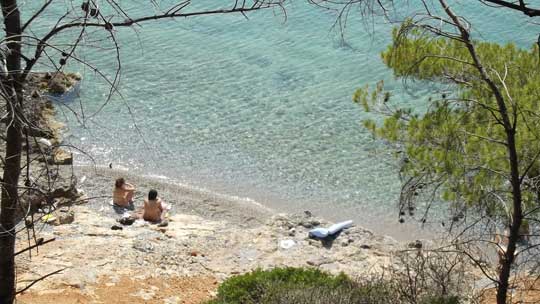 Δραγονέρα 