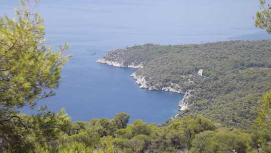 Λιμενάρια