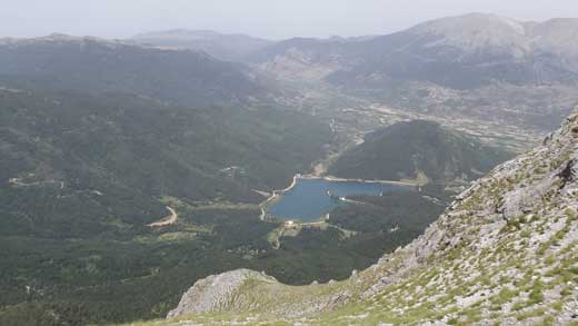 Φενεός