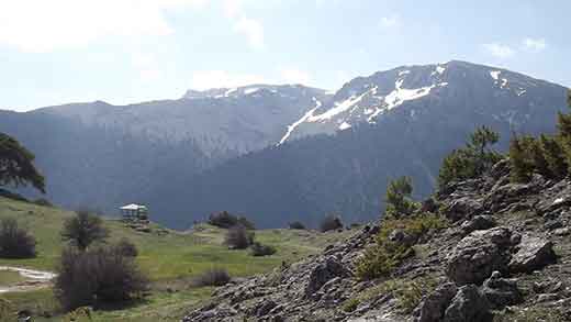 Φλαμπουρίτσα