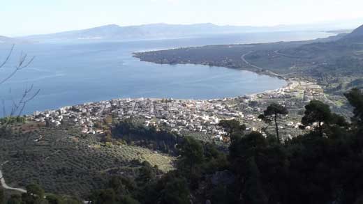 Κνημίδα