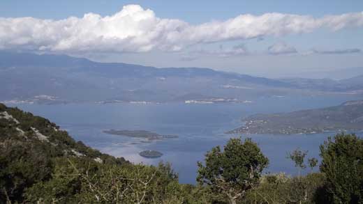 Κνημίδα
