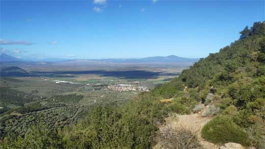 Πέτρα